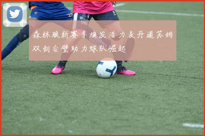 森林狼新赛季焕发活力麦丹道苏姆双剑合璧助力球队崛起